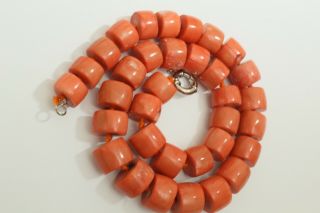 100 Natural Organic Untreated Undyed Shrimp Salmon Color Coral Necklace 2