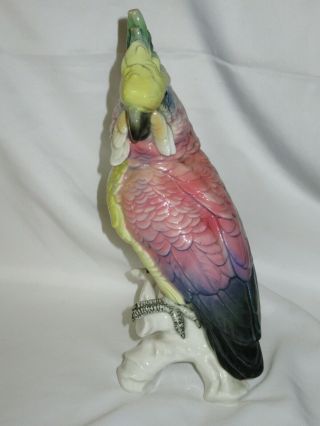 Karl Ens Bird Parrot Cockatoo Porcelain Figurine Germany 10 