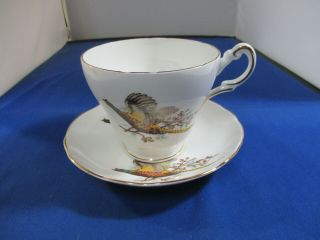 Regency English Bone China Large Cup & Saucer - English - Pheasants