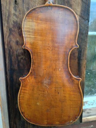 Old Antique Violin Stamped Hopf On One Piece Back 4/4