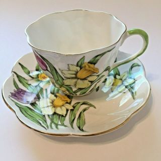 Salisbury " Tulips & Daffodils " Tea Cup & Saucer Vintage Bone China 1762