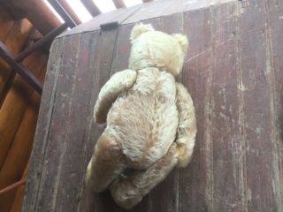 Vintage German Steiff 16” teddy bear blond/beige mohair Silver button 1950’s 10