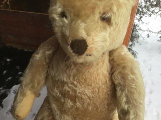 Vintage German Steiff 16” teddy bear blond/beige mohair Silver button 1950’s 3