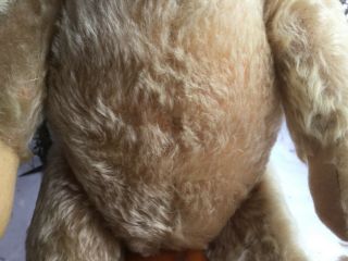 Vintage German Steiff 16” teddy bear blond/beige mohair Silver button 1950’s 6