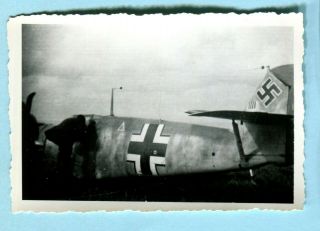 Orig 1944 Wwii Snapshot Shot Down German Me - 109 Southern France