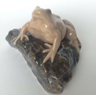 VERY RARE ROYAL COPENHAGEN PORCELAIN FROG ON ROCK FIGURINE 884 PRE 1923 6