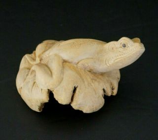 Unique All Hand Carved Wood Burl Frog Figure Carving One Of A Kind