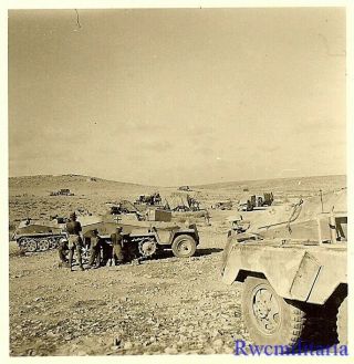 Rare: German Afrika Korps Armored Car & Sdkfz.  250 & 251 Halftracks In Desert