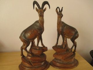 Black Forest Chamois Ibex Wood Carving Swiss