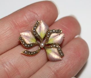 Antique Nouveau 14k Gold Enamel Seed Pearl Leaf Flower Brooch Pin 3.  3 Grams 5