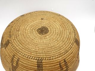 19th C.  Antique Native American Indian Pima Papago Olla Basket Figure Design 9