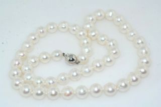 8.  5mm Cultured Pearl 14k White Gold Ball Clasp 18 " Necklace Strand