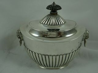 Large Victorian Solid Silver Tea Caddy 1890,  317gm