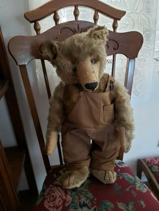 Antique Steiff Grizzly Bear,  Early 1900 