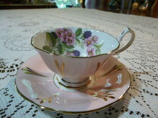 Queen Anne Bone China Pink Floral Blackberries Tea Cup And Saucer England