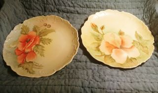 2 Vintage Signed Hand Painted Flower Plates