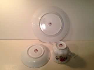 Royal Albert Poppy August Pattern Teacup Set Made in England 2