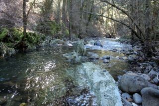 Extremely Rare Secluded Oregon Creek Placer Gold Mining Claims Near Forest City