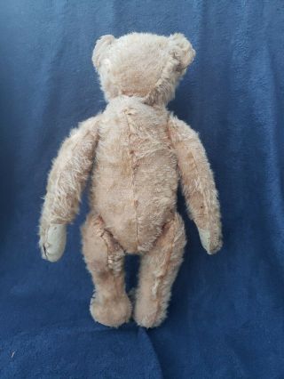 Expressive Gerbuder Bing Apricot Cinnamon Mohair Teddy Bear 4