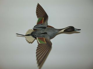 Vintage Carved Pintail Drake Duck Decoy By Paul Nock Dated 1964 - Duck In Flight