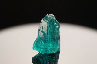 RARE GEM Cuprian Elbaite Tourmaline Crystal PARAIBA,  BRAZIL - Choice Color 2