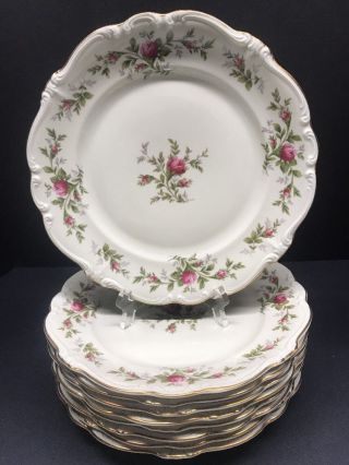 Vtg Rosenthal Pompadour Antoinette Rose Dinner Plates 10 " Set Of 8 Rare