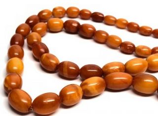 ANTIQUE 100 NATURAL BALTIC AMBER BEAD NECKLACE,  BUTTERSCOTCH,  EGG YOLK,  CHINESE 2