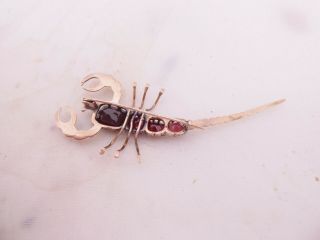 9ct rose gold garnet large novelty scorpion art deco brooch,  9k 375 3