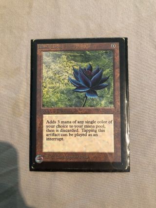 Black Lotus Mtg Collectors 