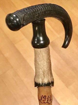 Vintage Antique 1911 Switzerland Alpine Irish Blackthorn Horn Walking Stick Cane