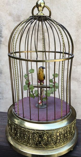 Antique Karl Griesbaum Singing Automaton Bird Cage Music Box Sounds Great