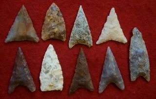 9 Medium - To - Larger Sized Neolithic Triangular Points