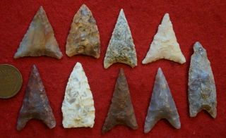 9 medium - to - larger sized Neolithic triangular points 2