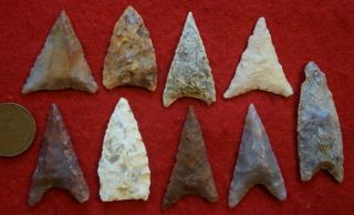 9 medium - to - larger sized Neolithic triangular points 3