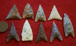 9 medium - to - larger sized Neolithic triangular points 4
