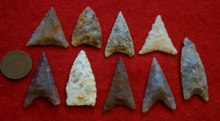9 medium - to - larger sized Neolithic triangular points 5