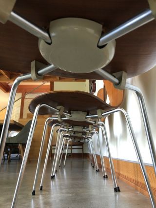 Vintage 1970 Fritz Hansen Series 7™ Chairs - Arne Jacobsen 9