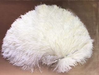 Flamboyant Ostrich Feather & Mother Of Pearl Fan,  Edwardian