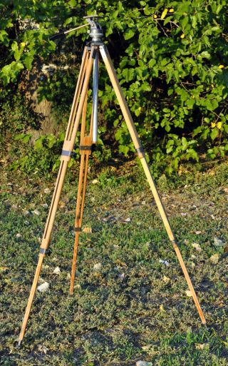 Vintage German Wooden Tripod By Berlebach For Camera Rotating Head Large Format.
