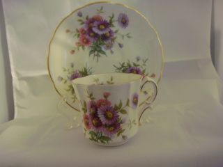 Hammersley Bone China Made In England Cup And Saucer Pink And Purple Daisys