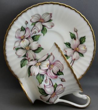 Paragon Teacup & Saucer - Apple Blossom M 192