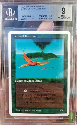 Vintage Mtg Bgs 9 Summer Magic Birds Of Paradise,  Quad,  9.  5