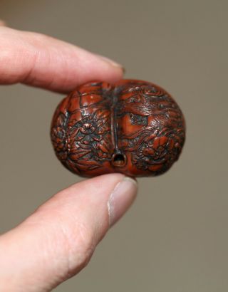 Antique Japanese Carved Walnut Netsuke Of A Shishi,  Signed Hidari Issan,  Meiji.