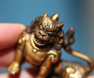 Antique Chinese Tibetan Gilt bronze Buddha Lion,  18th century,  Qing Dynasty RARE 10