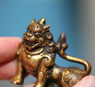 Antique Chinese Tibetan Gilt bronze Buddha Lion,  18th century,  Qing Dynasty RARE 11