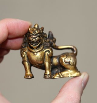 Antique Chinese Tibetan Gilt Bronze Buddha Lion,  18th Century,  Qing Dynasty Rare