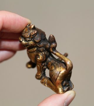 Antique Chinese Tibetan Gilt bronze Buddha Lion,  18th century,  Qing Dynasty RARE 3