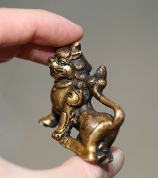 Antique Chinese Tibetan Gilt bronze Buddha Lion,  18th century,  Qing Dynasty RARE 8