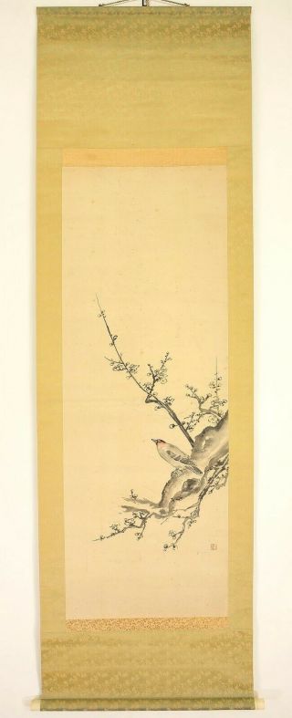 掛軸1967 Japanese Hanging Scroll " Ume Tree And Bird " @n270