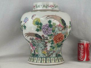 Fine 12 " 19th C Chinese Porcelain Famille Rose Pheasants Baluster Vase